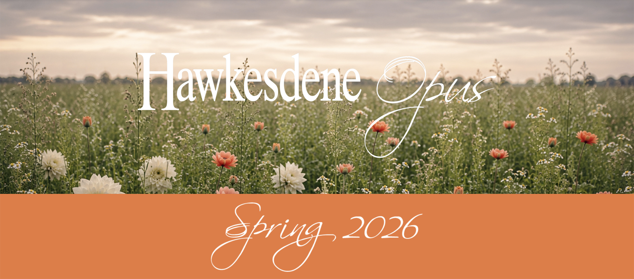 Hawkesdene Opus - Spring 2026 Masthead