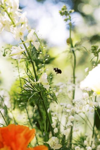 Annie  Steve | Hawkesdene